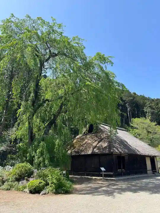 高麗神社(埼玉県)