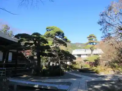 如来寺(山梨県)