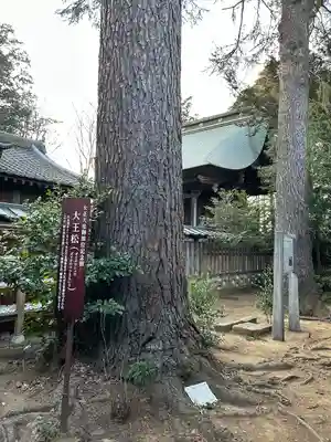 大宝八幡宮(茨城県)
