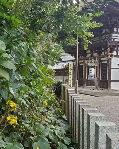 沙沙貴神社のその他建物