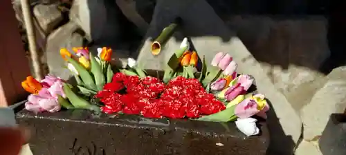 差出磯大嶽山神社 仕事と健康と厄よけの神さまの手水舎