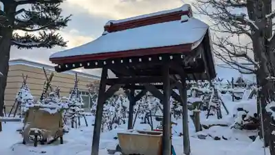 妙静寺の手水舎