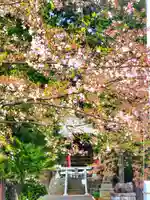 高司神社〜むすびの神の鎮まる社〜(福島県)