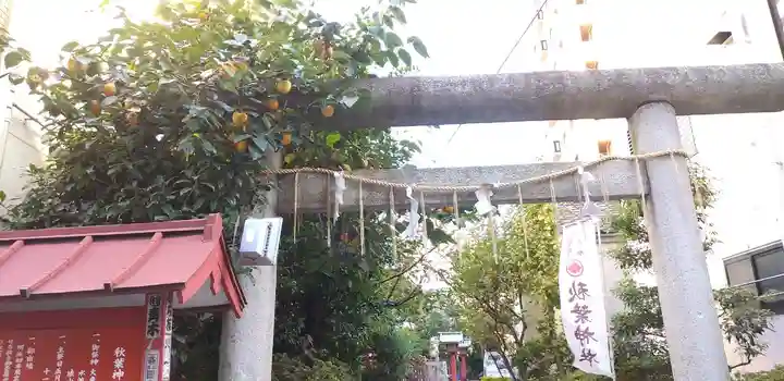 秋葉神社の鳥居