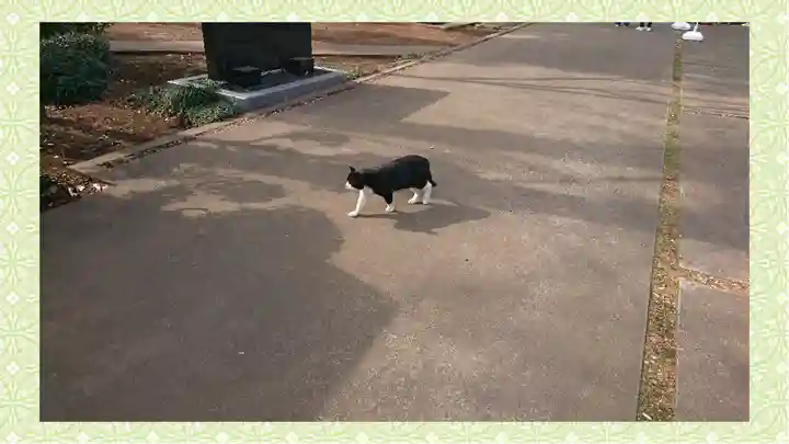 馬場氷川神社(埼玉県)