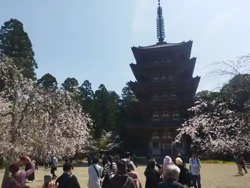 醍醐寺(京都府)