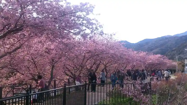 須佐乃男神社 の自然