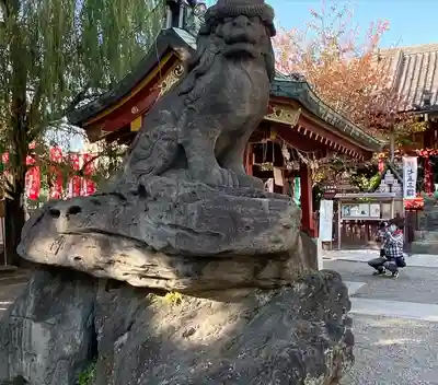 浅草神社の狛犬