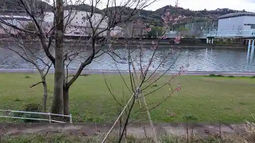 山内神社の自然