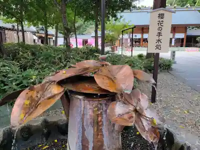 櫻木神社の手水舎