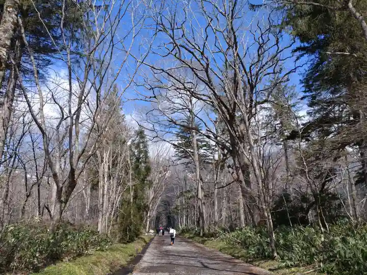 戸隠神社奥社(長野県)