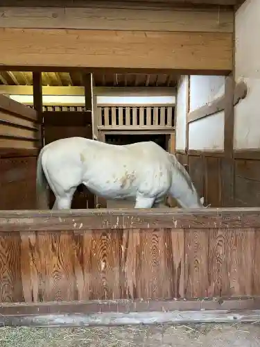 金刀比羅宮(香川県)