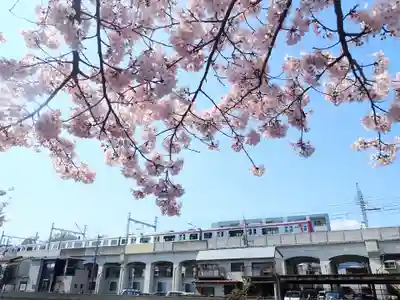 瑞延寺の御朱印