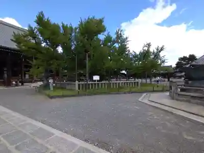 本願寺（西本願寺）(京都府)