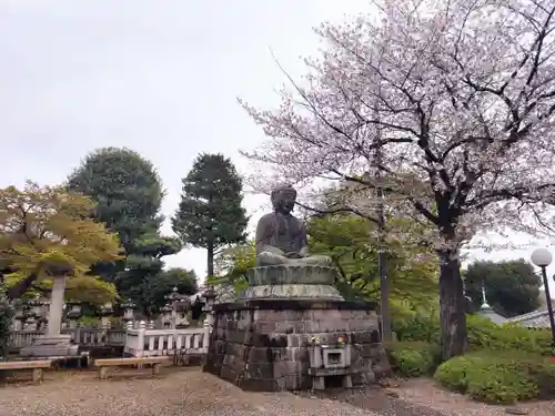 護国寺の仏像