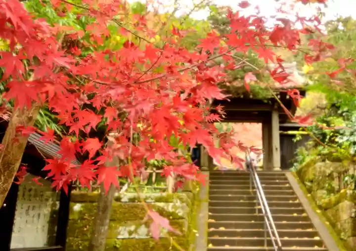 円覚寺(神奈川県)