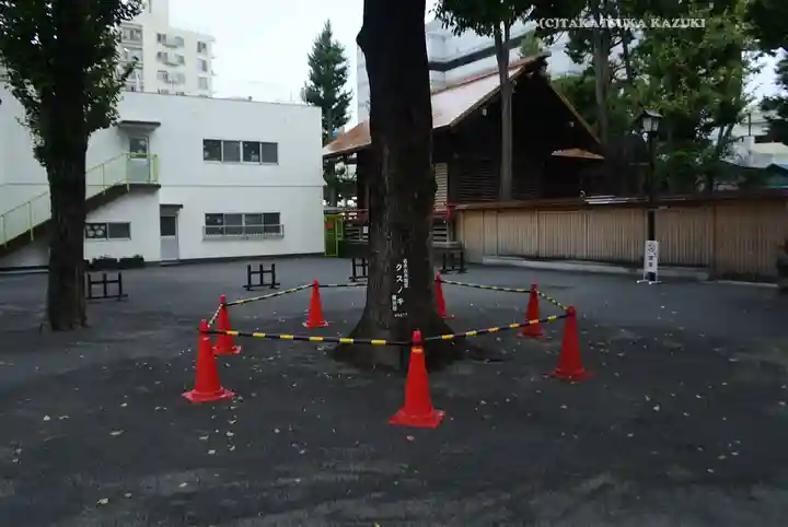 お三の宮日枝神社(神奈川県)