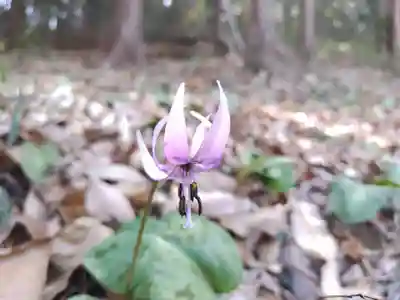 西光寺(埼玉県)