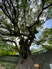 與止日女神社の自然