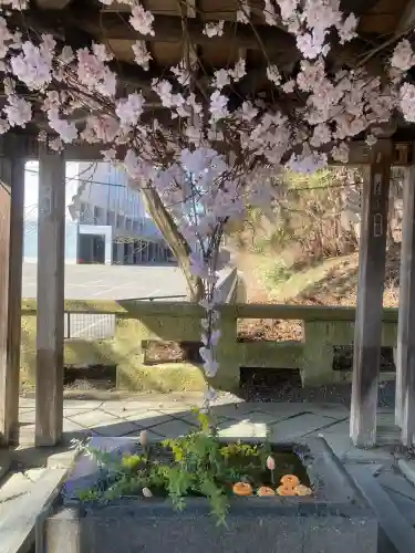 熊野大社(山形県)