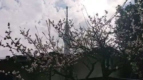 三囲神社の自然