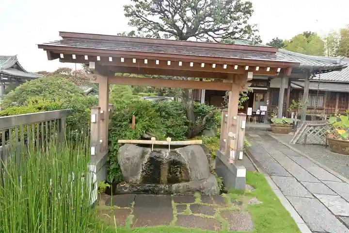 妙蓮寺の手水舎