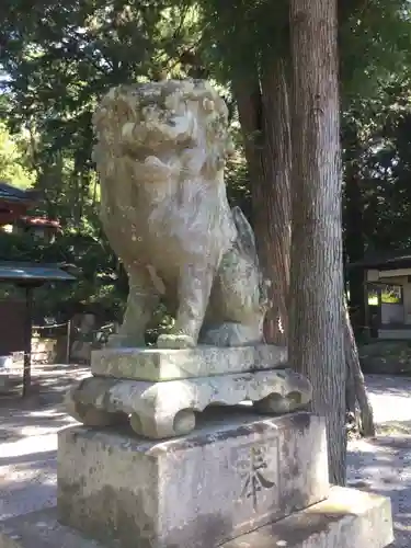 一宮浅間神社の狛犬