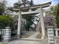 川口神社(埼玉県)