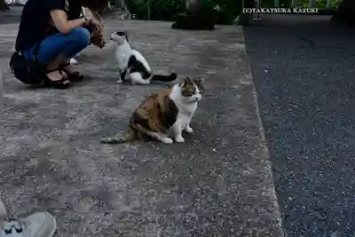 賀茂別雷神社(栃木県)
