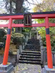 根津神社の鳥居