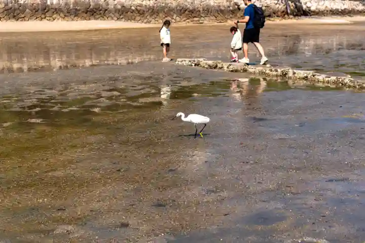 厳島神社(広島県)