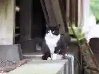 今市報徳二宮神社の動物