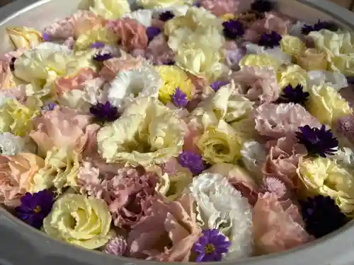 御井神社(岐阜県)