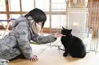 高司神社〜むすびの神の鎮まる社〜の動物