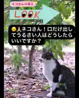 専念寺(大阪府)