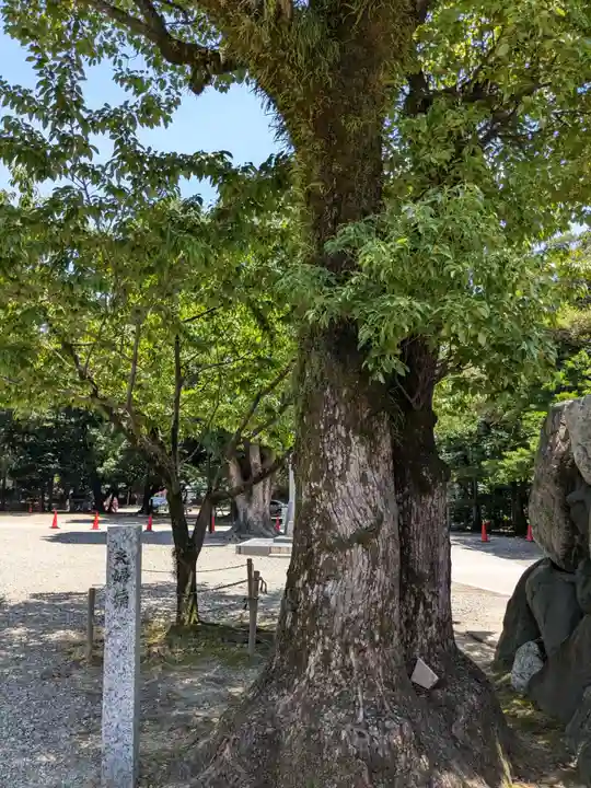 真清田神社(愛知県)