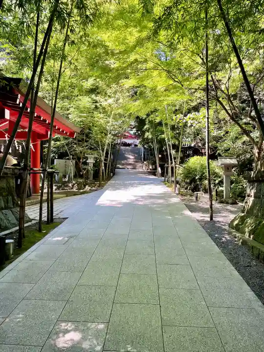 來宮神社(静岡県)