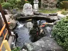 尾張猿田彦神社の動物