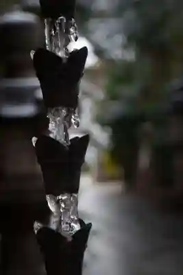 戸越八幡神社(東京都)