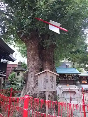 三輪神社(愛知県)