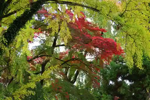 神炊館神社 ⁂奥州須賀川総鎮守⁂の自然
