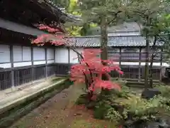 井波別院瑞泉寺の本殿