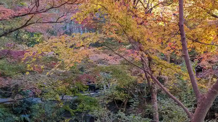 圓光寺(京都府)
