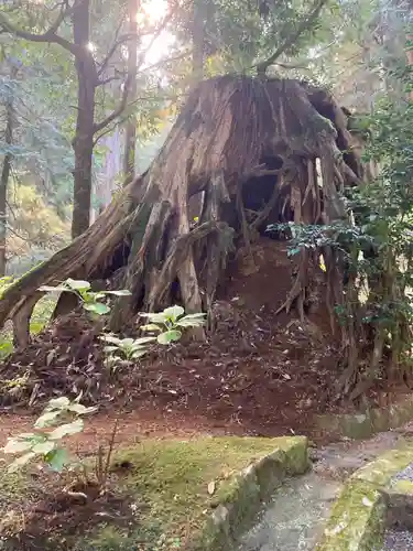 最乗寺（道了尊）(神奈川県)
