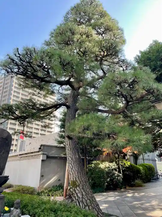 松秀寺(東京都)