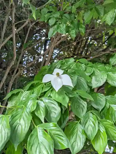  智積院(京都府)