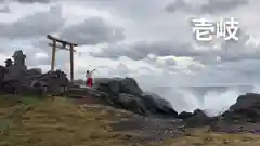 八大龍王神社の鳥居