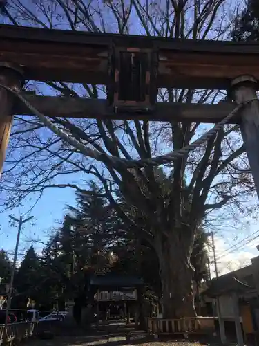 住吉神社の鳥居