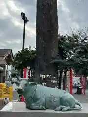 町田天満宮(東京都)