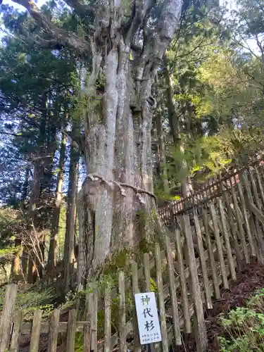 玉置神社(奈良県)